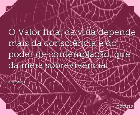 Viver Uma Vida Contemplativa Permitiria Segundo Aristóteles Alcançar