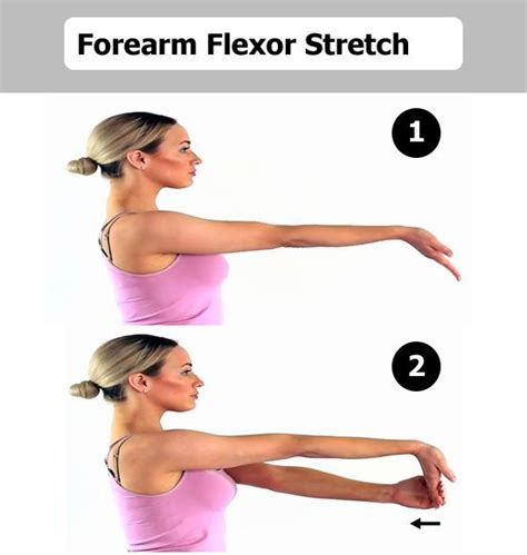 Forearm muscle anatomy, forearm tendon pain bicep curls, forearm tendon pain from typing, forearm tendon pain from weight training, forearm tendon pain near elbow, hand tendon anatomy, shoulder tendon anatomy, wrist tendon anatomy. Top 4 Stretches for Tennis Elbow Doctor's Won't Show You ...