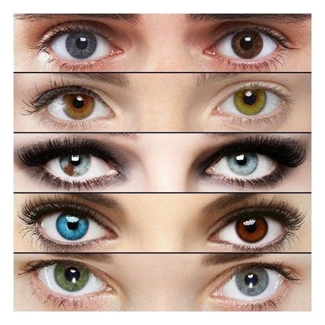 What Causes Different Colored Eyes In Humans Liked On Polyvore