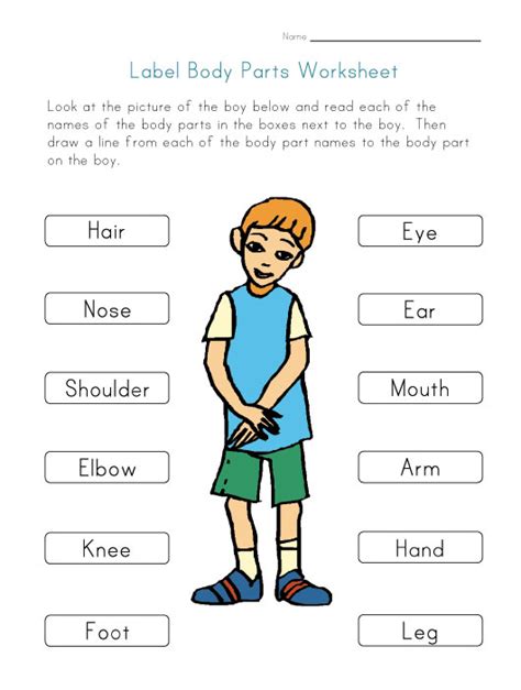 Body parts worksheets are great for children learning the names for parts of the body. My Body Worksheet