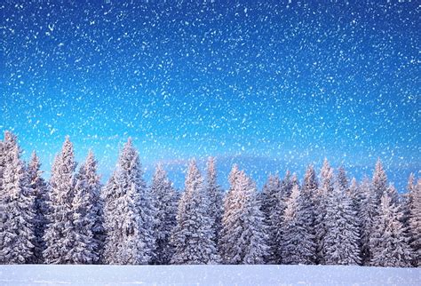 Hd Wallpaper Snow Covered Pine Trees Winter Forest Snowflakes