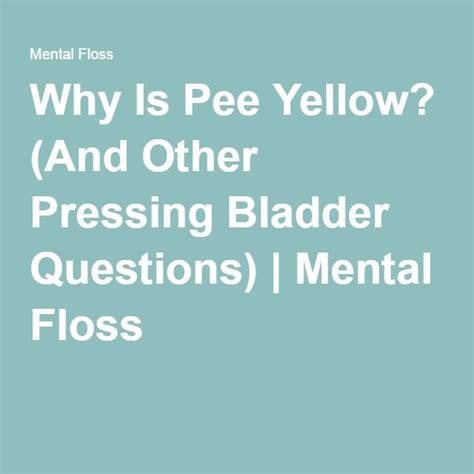 Why Is Pee Yellow Bladder Floss Questions