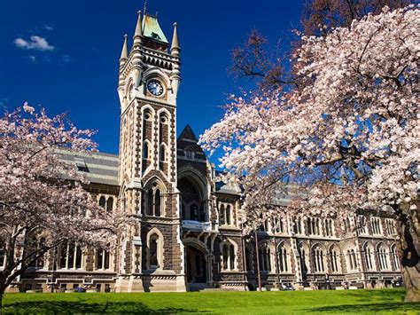 University Of Otago Scholarship 2021 2022 Study In New Zealand