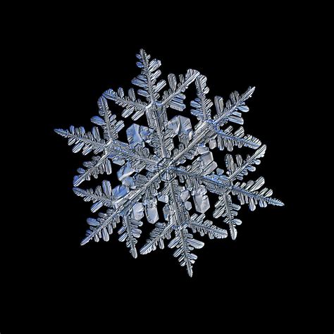 Snowflake Macro Photo 13 February 2017 3 Black Photograph By Alexey