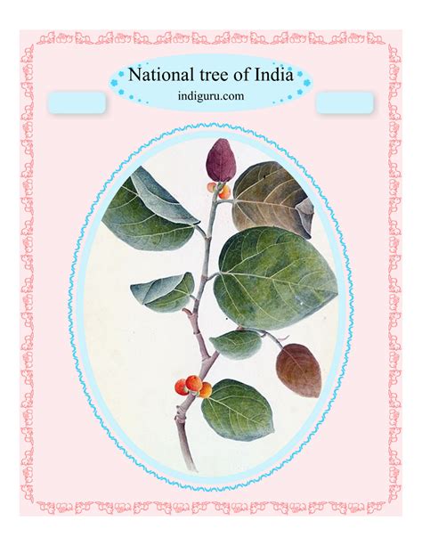 national tree  india
