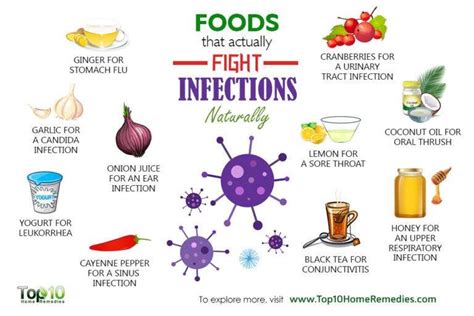 List Of Foods With Best Anti Bacterial Properties