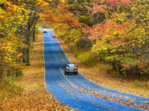 10 Best Places In America For A Fall Foliage Road Trip Trips To Discover