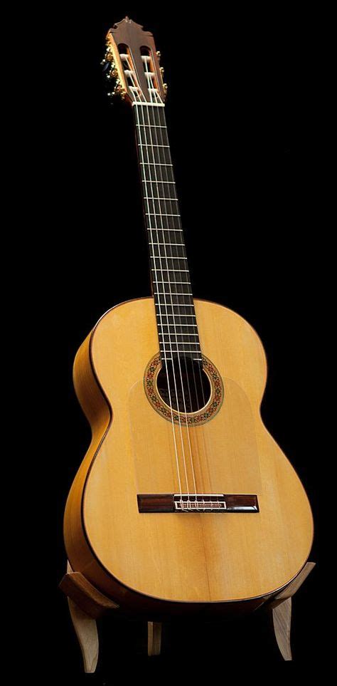 20 Flamenco Guitars Ideas Flamenco Guitar Music Instruments