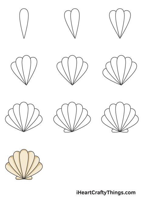 Seashell Drawing How To Draw A Seashell Step By Step