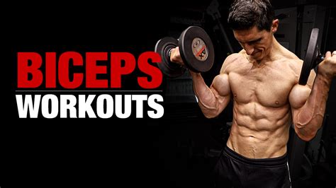 Bicep Workouts Best Exercises For Muscle And Strength