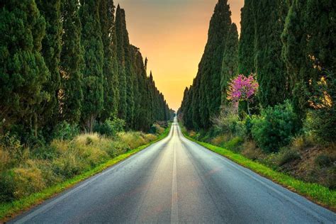On the smooth, juicy palate, polished tannins lend. Understanding "Super Tuscan" Wines: The Story & Meaning of ...