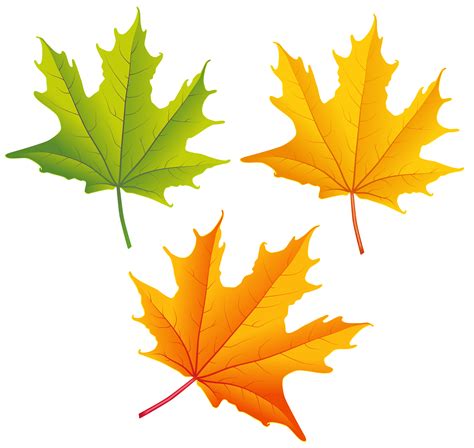 Yellow Leaf Clipart Free Download On Clipartmag