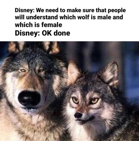 Disney We Need To Make Sure That People Will Understand Which Wolf Is Male And Which Is Female