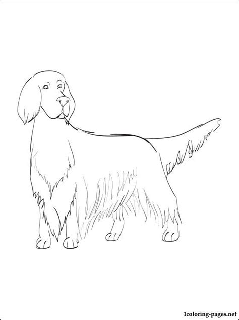 Coloring Pages Dog Breeds Coloring Easy For Kids