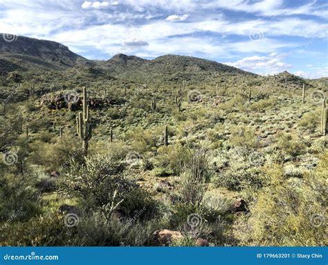 Scottsdale Arizona Desert Blue Skies Landscape Stock Image Image Of