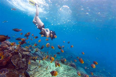 D N Tour Snorkeling Nusa Penida By Penida Livin Harga Tiket Promo Up To