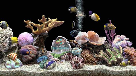 Marine Aquarium Hq 1080p 60fps Screensaver Black Ocean Youtube