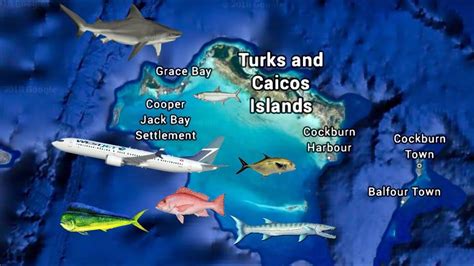 Fishing The Turks And Caicos Youtube
