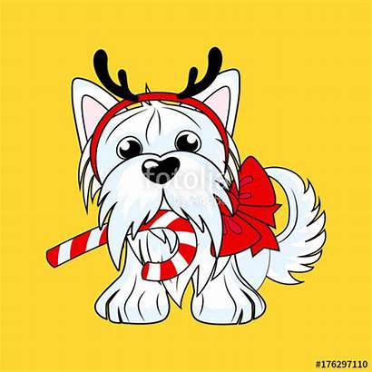 Cartoon Yorkie Drawing Character Yorkshire Terrier Christmas