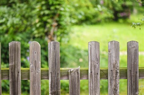 We did not find results for: Lebach, Vandalismus im Asiatischen Garten - Saarland ...