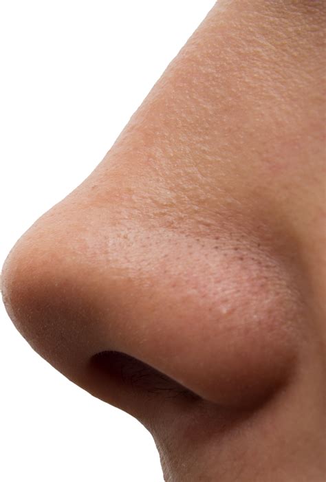 Nose Png Images Free Download