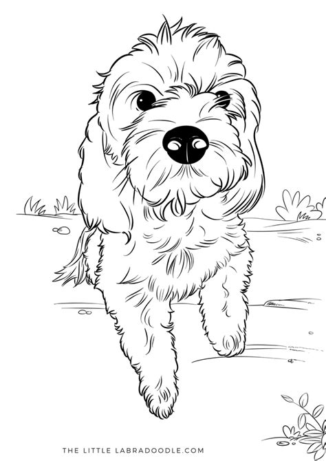 Golden doodle watercolour dark colors painting. Pin on coloring pages