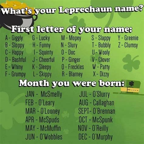 What S Your Leprechaun Name Meme Leprechaun Names Funny Names Dont
