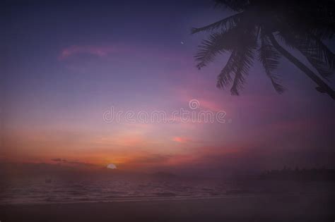 Views Of Sunrise With Cushions And Coconut Palm Trees On Tropical Beach