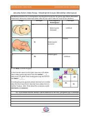 By the way, related with monohybrid cross worksheet answer key, scroll the page to see some similar images to inform you more. Monohybrid Cross Worksheet-Amoeba Sisters by aleeza mumtaz.pdf - AMOEBA SISTERS VIDEO RECAP ...