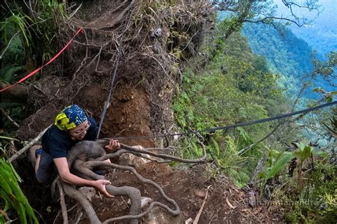 Puncak Gunung Salak Newstempo