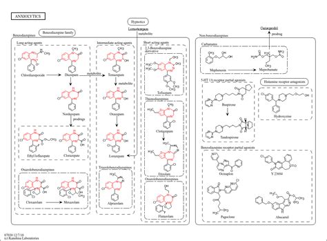 Kegg Pathway Anxiolytics Reference Pathway