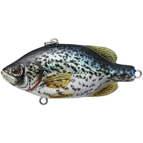 Live Target Crappie Lure 428312 Crank Baits At Sportsmans Guide