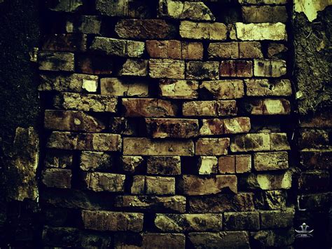 Brick Full Hd Wallpaper And Background Image 2560x1920 Id373017