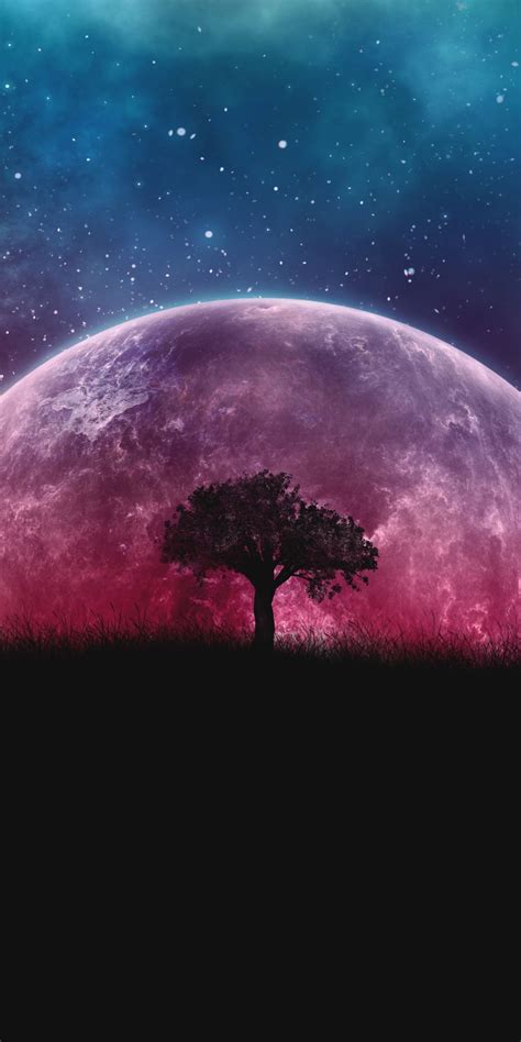 Planet Silhouette Tree Moon Galaxy Stars Photoshop 1080x2160