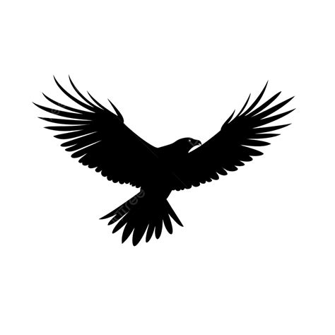 Silhouette Of The Hawk Flying In The Sky Looking Down Shape Vintage