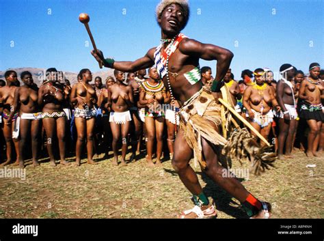 Zulu Reed Dance Ceremonial Participants Natal South Africa Stock