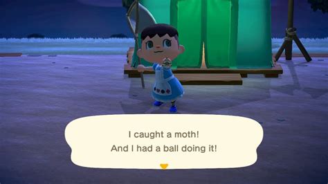 How To Catch Bugs In Animal Crossing New Horizons Gamespew