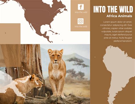 Africa Wildlife Brochure Folleto Template