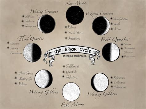 The Lunar Cycle Printable Moon Phases Moon Magick Moon Etsy