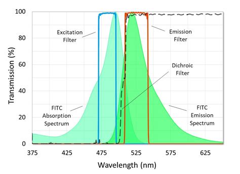 Fluorescence Filters For Microscopy And Imaging Alluxa