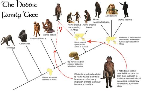Neanderthals And Humans Tree