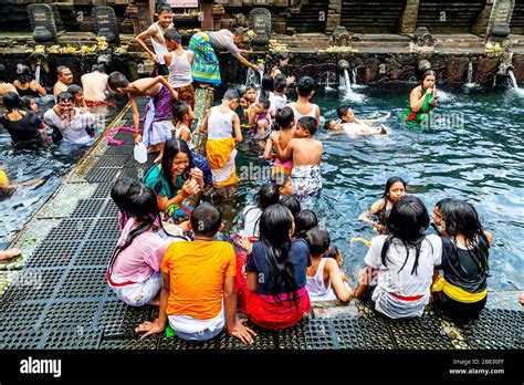 Balinese Visitors Bathing In The ‘holy Spring Pools During A Hindu