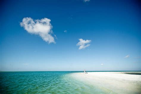 Vote Caladesi Island State Park Best Florida Beach Nominee