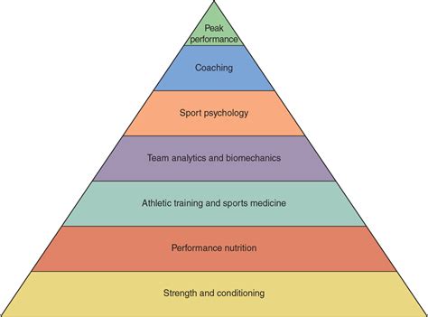 What Do Sport Performance Professionals Do Human Kinetics