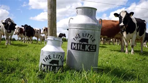 A2 milk company ceo on dairy disruption. The Little Milk Company - YouTube