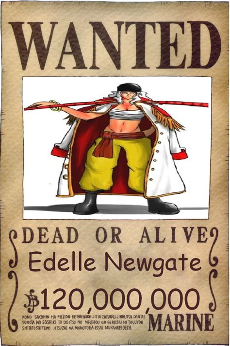 Newgate Pirates One Piece Ship Of Fools Wiki Fandom Powered By Wikia