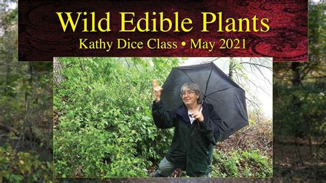 Wild Edible Plants Kathy Dice Class May 2021 Lacey Keosauqua