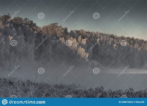 Forest In Frost By The River On A Frosty Day Stock Photo Image Of