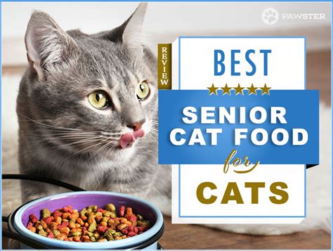 Water is very important for the cat's kidneys. Our 2019 Guide to Picking the Best Senior Cat Food for ...