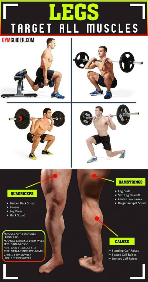 Build Massive Strong Legs And Glutes With This Amazing Workout And Tips Leg